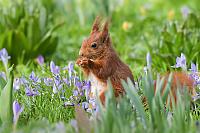Tierwelt